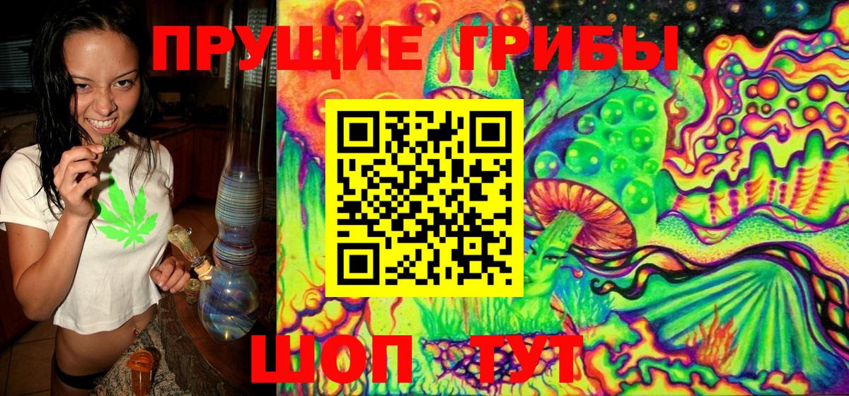 Выборг  Псилоцибиновые грибы мухоморы  Вход с VPN 