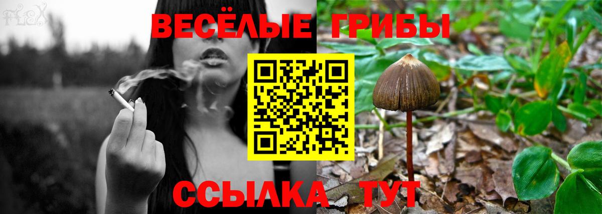 Галлюциногенные грибы ЛСД Выборг